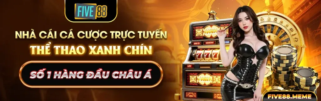 Nền tảng kiến thức cá cược 678vip casino